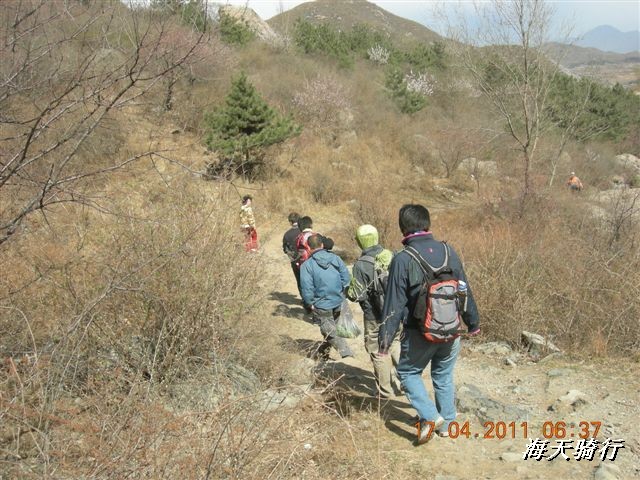 BigBull_110416 果树园牛肚宴 238.jpg