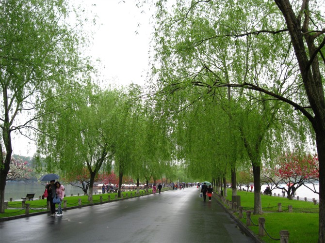 白堤--传说不是白居易修建