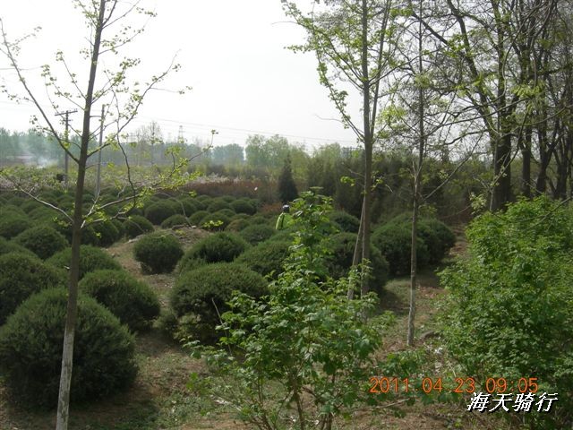 BigBull_110423  怀柔圣泉山 021.jpg