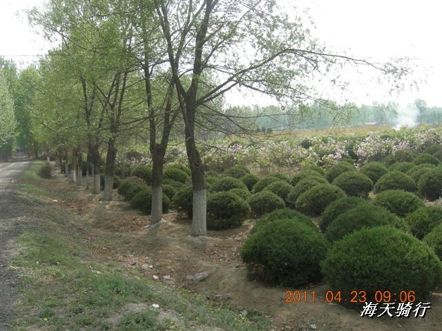 BigBull_110423  怀柔圣泉山 022.jpg