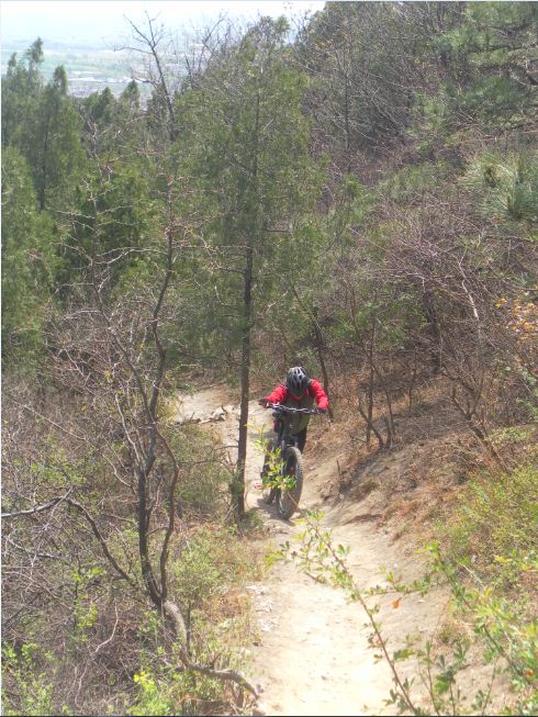 从植物园的小道上山