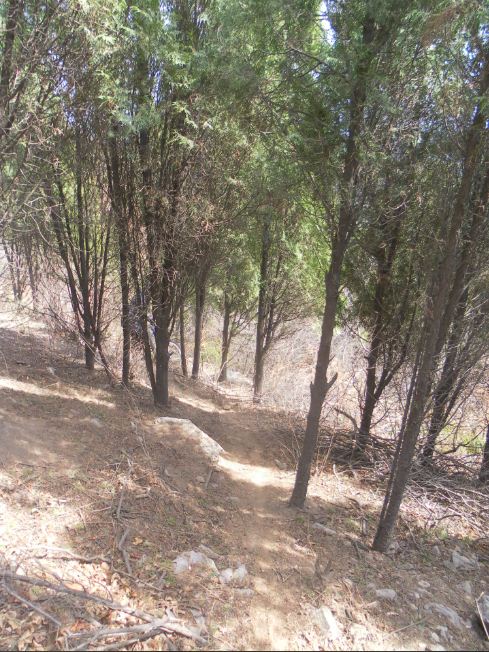 买走多久就开始陡了