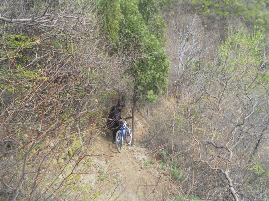 于是开始了各种的推车