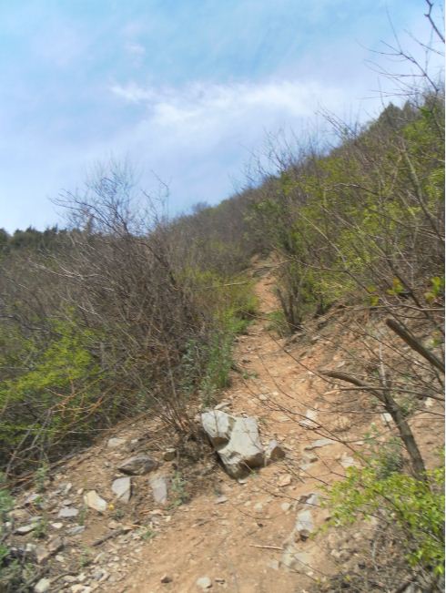 不是夸张 这种路徒步都很艰难