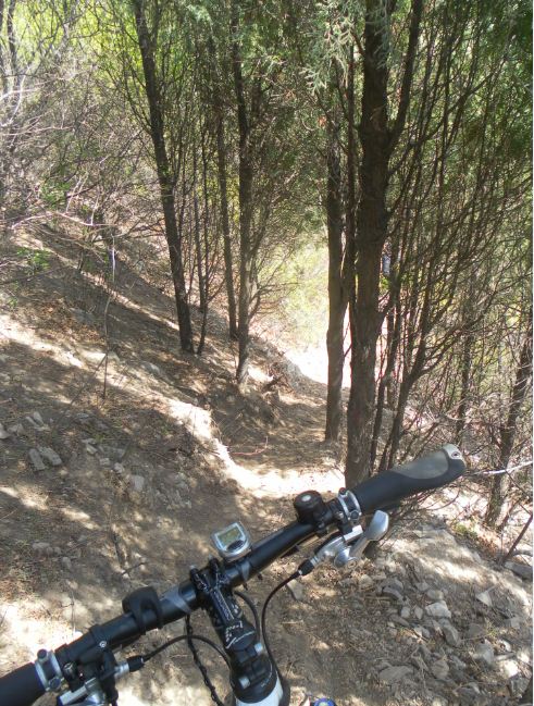 又是急下的下树林