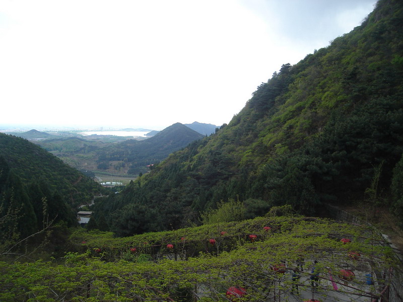 DSC08062_缩小大小.JPG