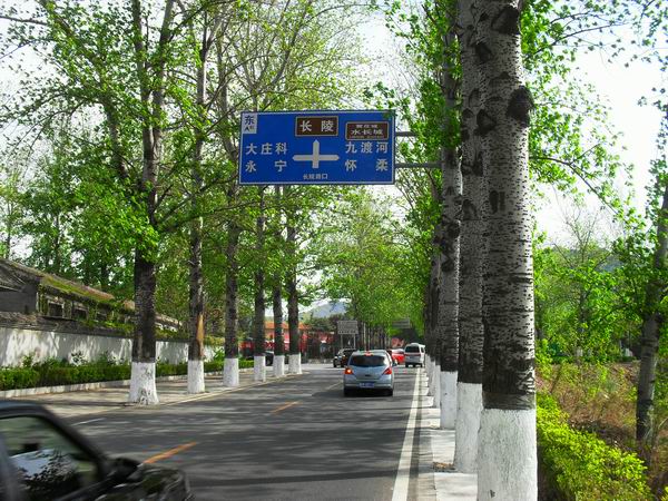 调整大小 SDC15119.JPG