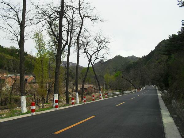 调整大小 SDC15125.JPG