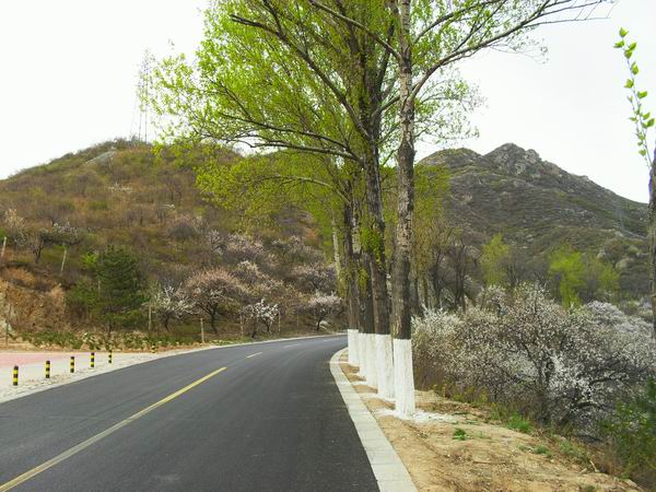 调整大小 SDC15139.JPG