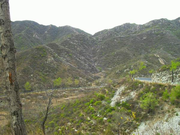 调整大小 SDC15141.JPG