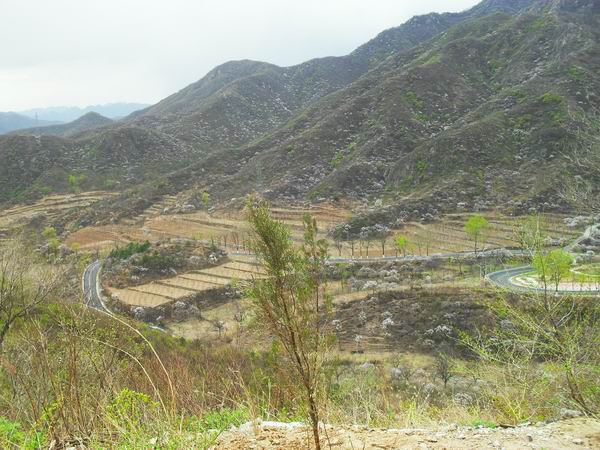 调整大小 SDC15143.JPG