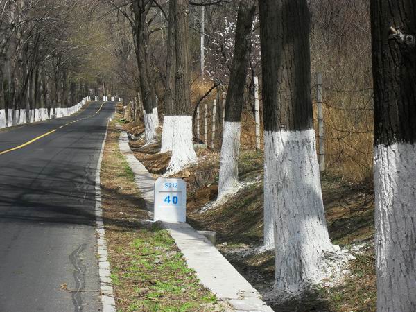 调整大小 SDC15144.JPG