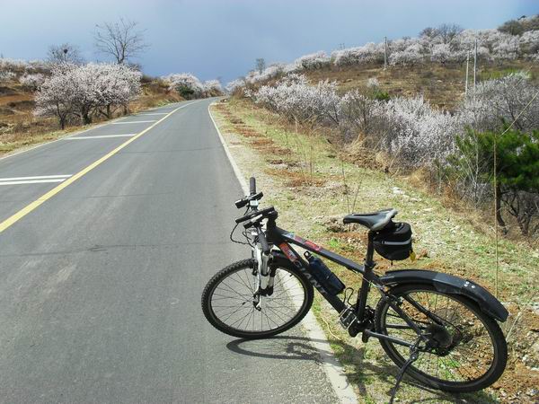 调整大小 SDC15145.JPG