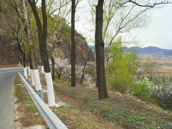 调整大小 SDC15147.JPG