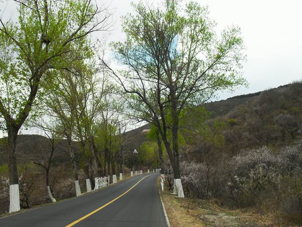 调整大小 SDC15151.JPG