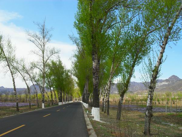 调整大小 SDC15158.JPG