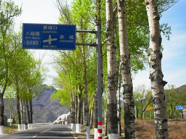 调整大小 SDC15167.JPG