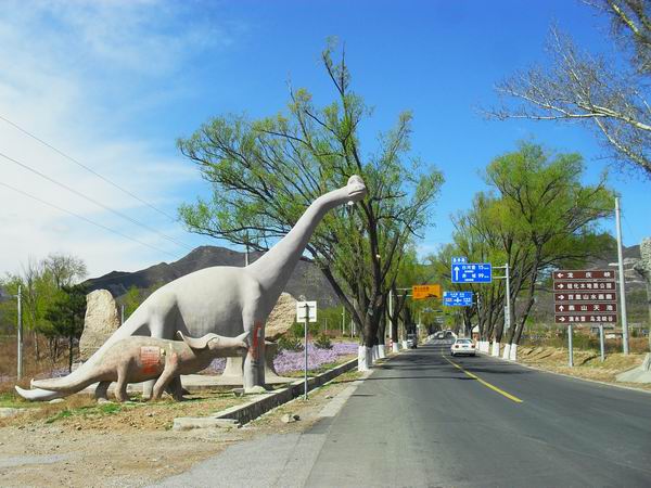 调整大小 SDC15168.JPG