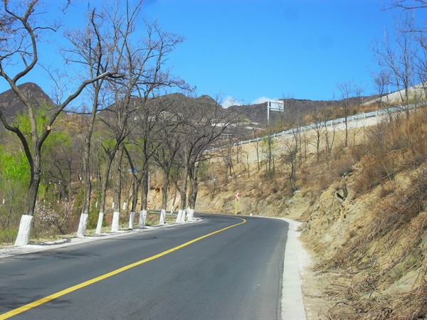 调整大小 SDC15174.JPG