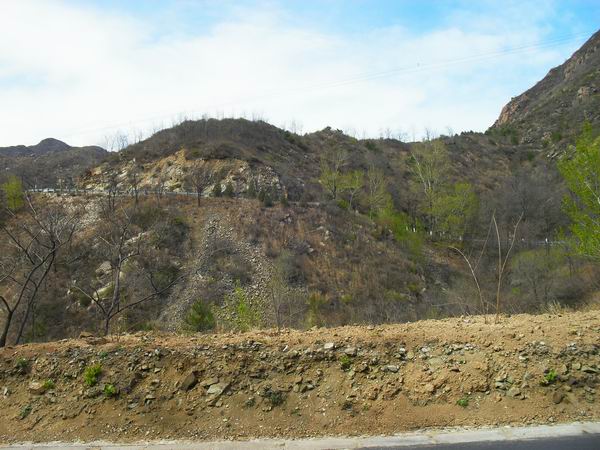 调整大小 SDC15178.JPG