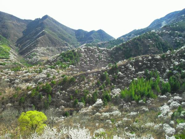 调整大小 SDC15203.JPG