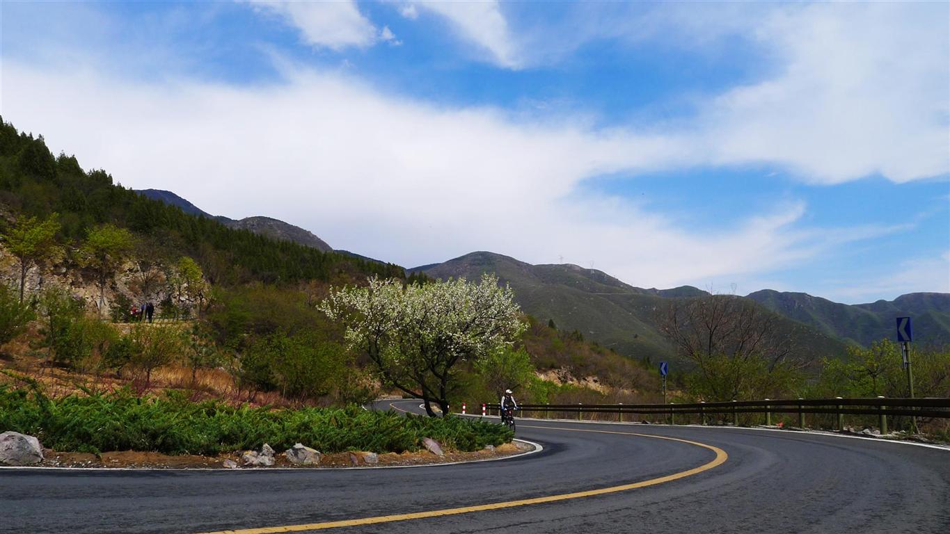 P1010164 (Medium).JPG