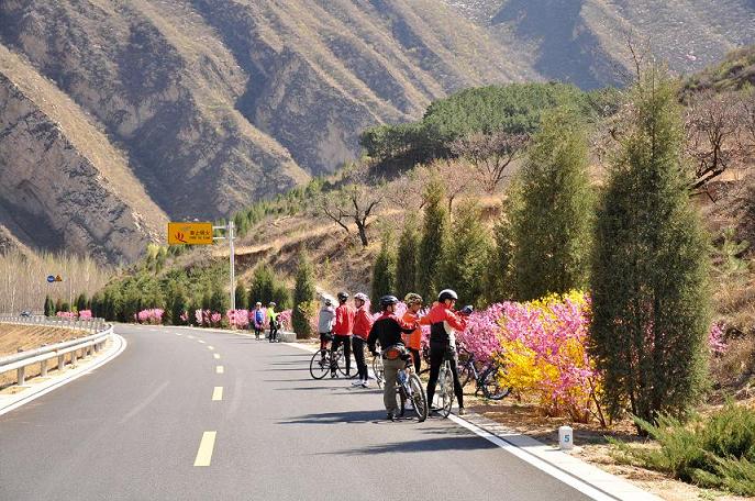 路边的野花不要采