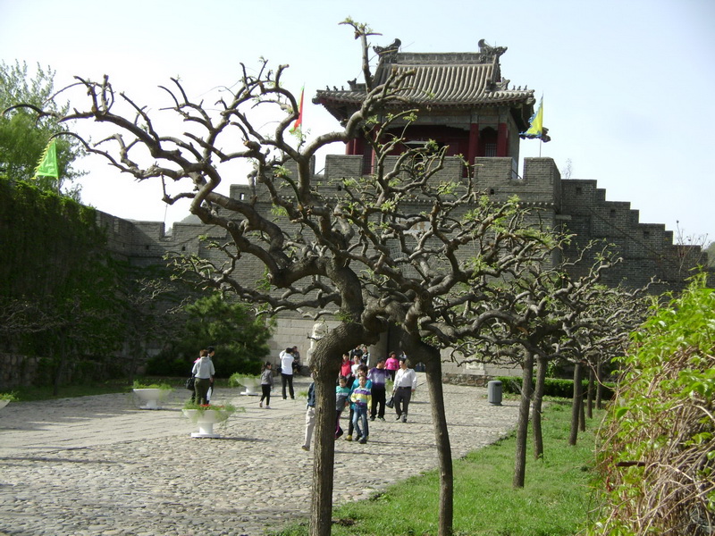 DSC03780_调整大小.JPG