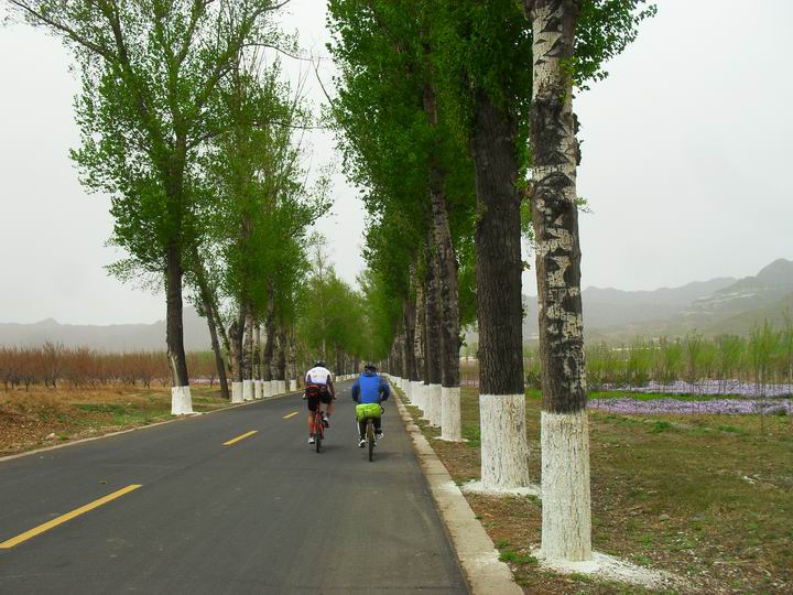 调整大小 SDC15334.JPG