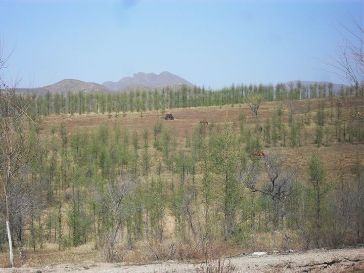 调整大小 SDC15444.JPG