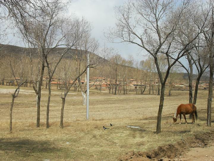 调整大小 SDC15528.JPG