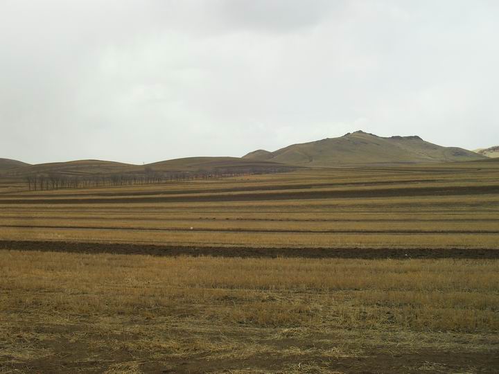 调整大小 SDC15553.JPG