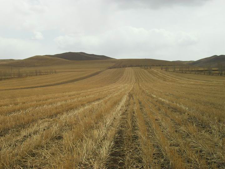 调整大小 SDC15563.JPG