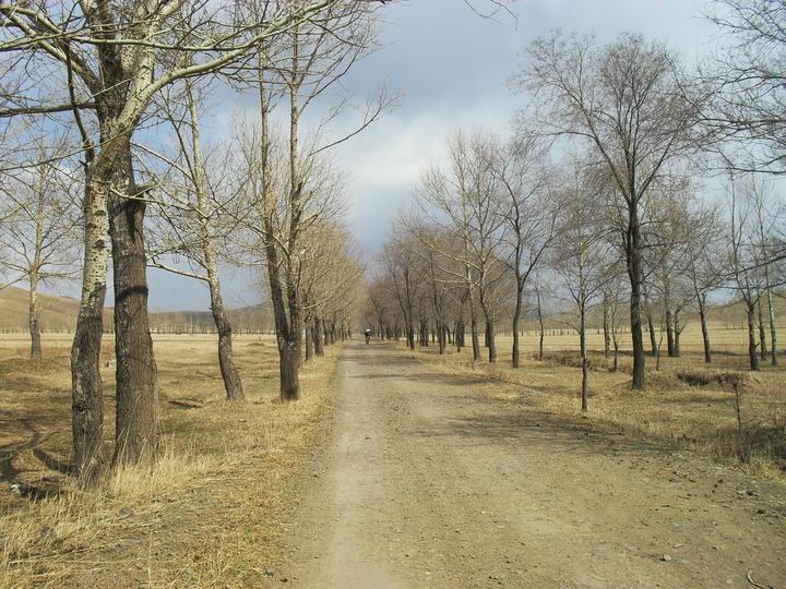 调整大小 SDC15572.JPG