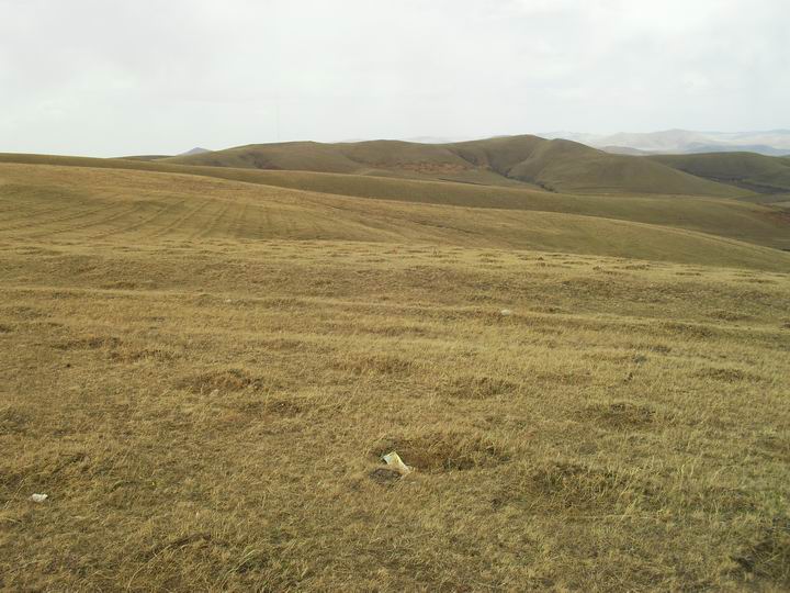 调整大小 SDC15596.JPG