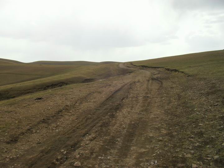 调整大小 SDC15626.JPG