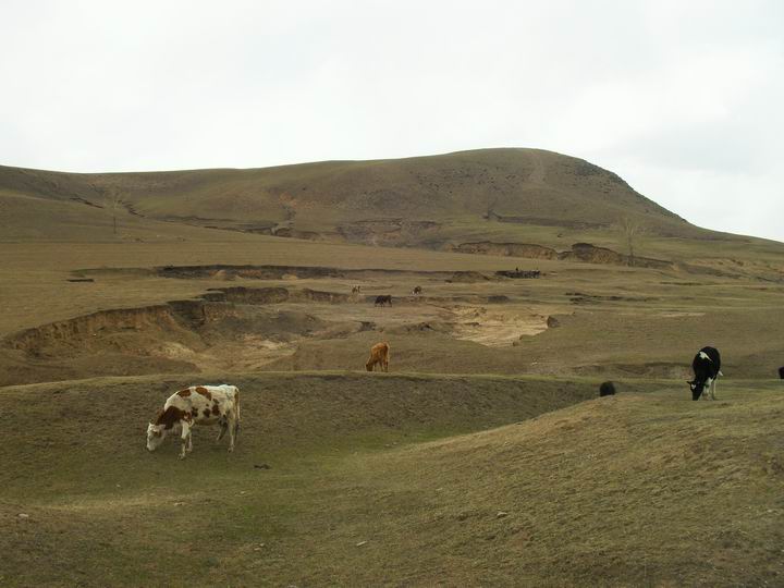 调整大小 SDC15630.JPG