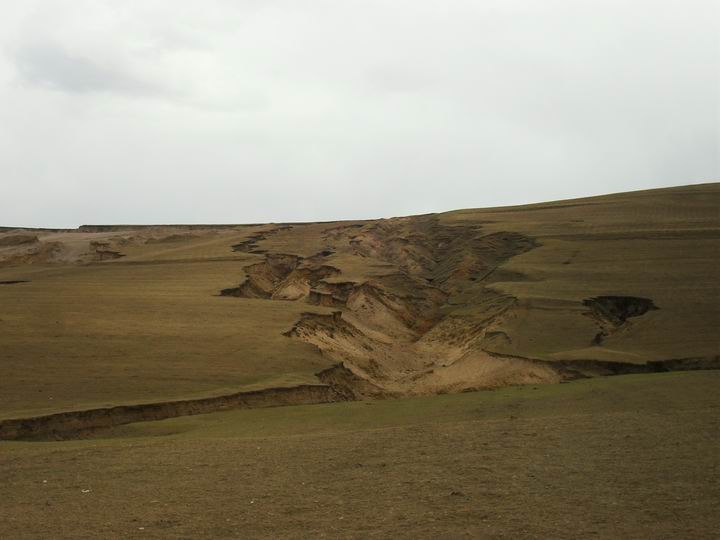 调整大小 SDC15639.JPG