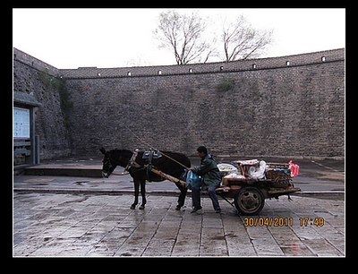 古城小驴车.JPG