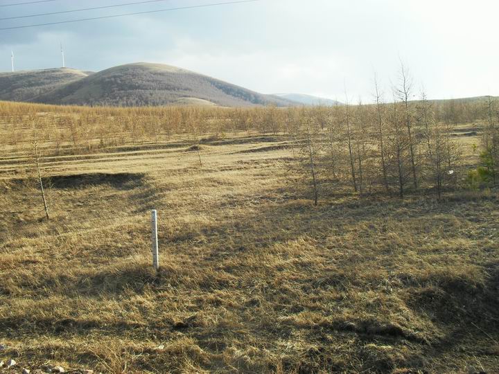 调整大小 SDC15659.JPG