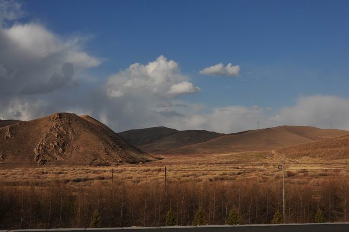 调整大小 DSC_0085.JPG