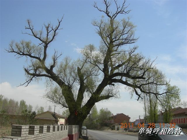 BigBull_骑行呼和浩特 074.jpg