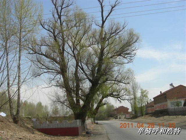 BigBull_骑行呼和浩特 076.jpg