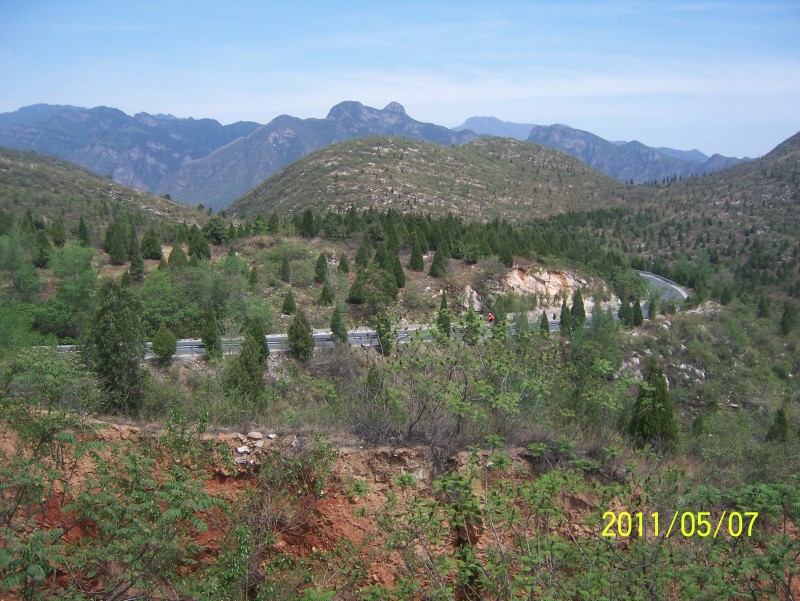 conew_照片 018.jpg