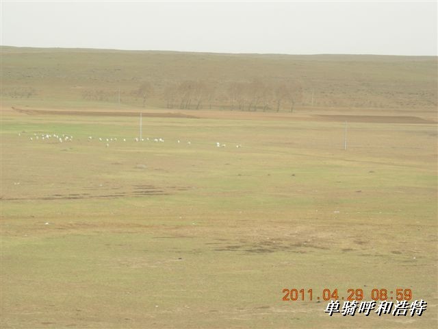 BigBull_骑行呼和浩特 094.jpg