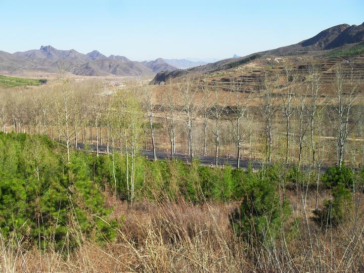 调整大小 SDC15704.JPG