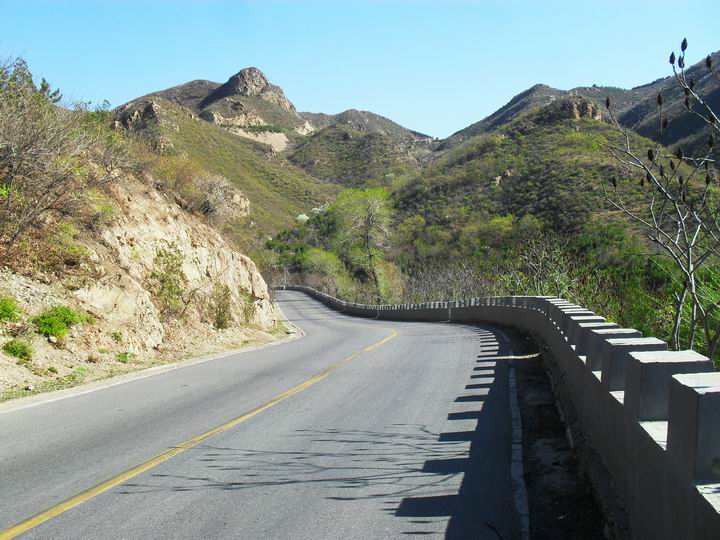 调整大小 SDC15731.JPG