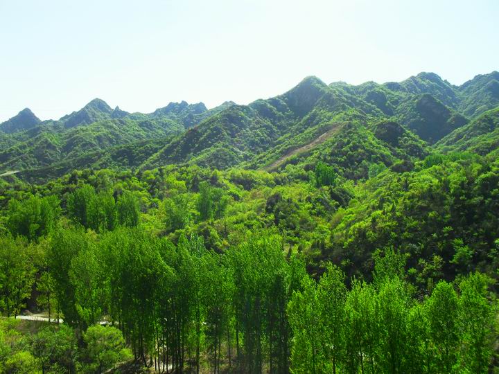 调整大小 SDC15832.JPG