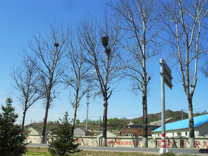 调整大小 SDC15784.JPG