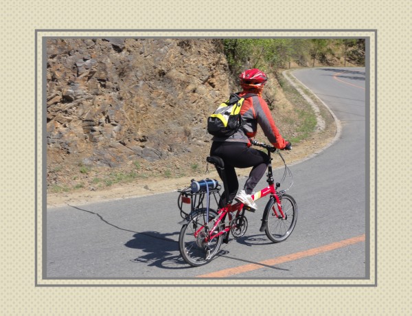 核桃大姐上来了